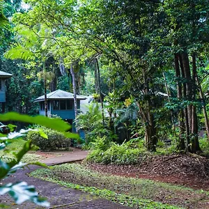 ferntree-rainforest-lodge.queenslandhotels.net/